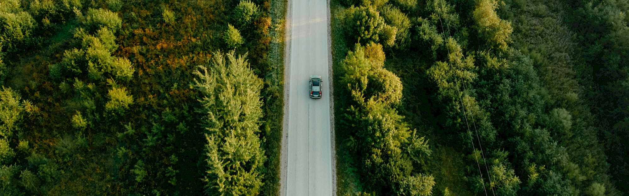 Autó halad az erdei úton